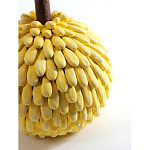 Статуэтка тропический фрукт Pandora Tropical Fruit Yellow Emerald Flower варинант исполнения - 2 | Loft Concept в Костроме