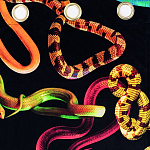 Штора Seletti Snakes Black варинант исполнения - 1 | Loft Concept в Костроме