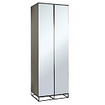 Двухдверный шкаф с зеркальными дверцами Strict Lines варинант исполнения - 1 | Loft Concept в Костроме