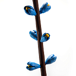 Синий экзотический фрукт статуэтка для интерьераTropical Fruit Pandora 9 варинант исполнения - 2 | Loft Concept в Костроме