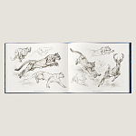 Лимитированная подарочная книга HERMES Fierce and Fragile book, English version варинант исполнения - 4 | Loft Concept в Костроме