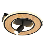 Потолочный светильник круглый GAVIN WOOD варинант исполнения - 1 | Loft Concept в Костроме