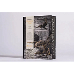 Книга Fantastic Gustave Dore варинант исполнения - 3 | Loft Concept в Костроме