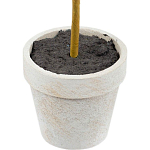 Декоративный искусственное растение Boxwood One варинант исполнения - 3 | Loft Concept в Костроме