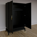 Платяной шкаф Elsa Dreams Black с 2-мя фасадами варинант исполнения - 1 | Loft Concept в Костроме