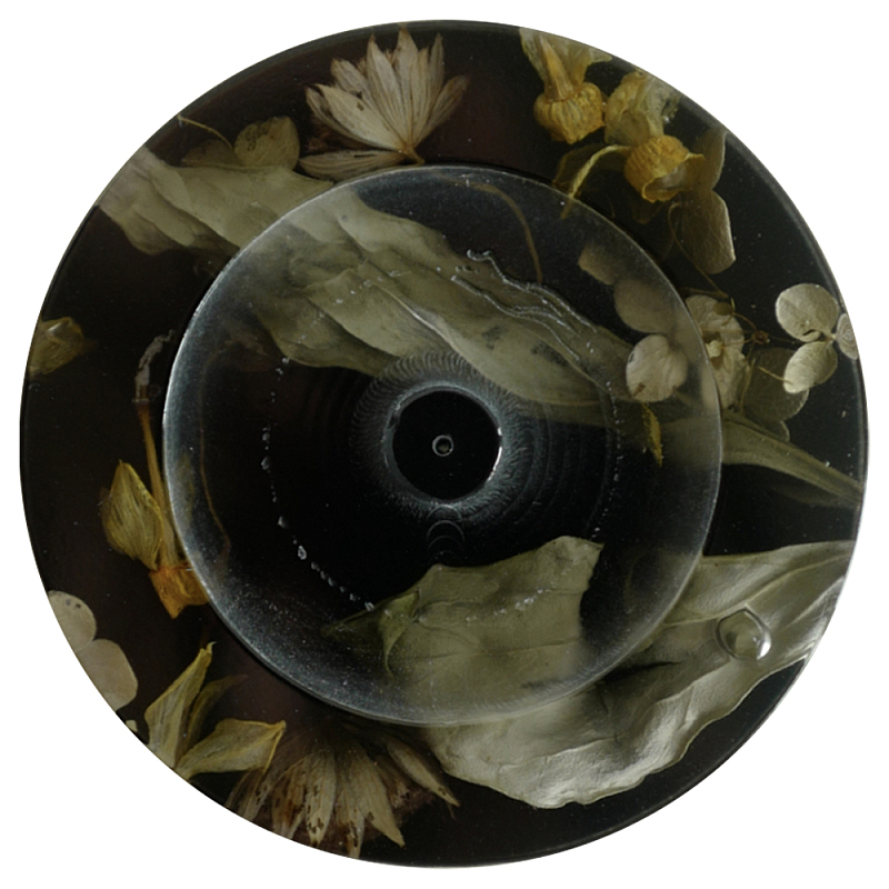Круглая подставка под благовония из эпоксидной смолы с цветами черная Epoxy Resin Flowers Incense Stand Black Черный Круглая подставка под благовония из эпоксидной смолы с цветами черная Epoxy Resin Flowers Incense Stand Black Черный в Костроме | Loft Concept