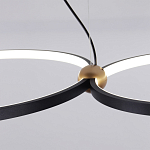 Люстра подвесная светодиодная черный металл Ring Horizontal варинант исполнения - 11 | Loft Concept в Костроме