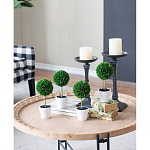 Декоративный искусственное растение Boxwood One варинант исполнения - 7 | Loft Concept в Костроме