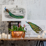 Постер на холсте с изображением павлина на ветке Majestic Peacock on a Tree Poster варинант исполнения - 3 | Loft Concept в Костроме