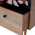 Шкаф с принтом Kario варинант исполнения - 3 | Loft Concept в Костроме