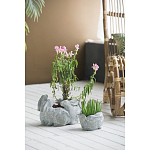 Кашпо A collection of baby rabbits варинант исполнения - 4 | Loft Concept в Костроме