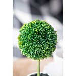 Декоративный искусственное растение Boxwood One варинант исполнения - 8 | Loft Concept в Костроме