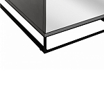 Двухдверный шкаф с зеркальными дверцами Strict Lines варинант исполнения - 4 | Loft Concept в Костроме