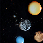 Блюдо Seletti Sun варинант исполнения - 6 | Loft Concept в Костроме