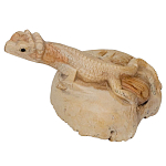 Статуэтка из дерева ящерица Animals of the World варинант исполнения - 2 | Loft Concept в Костроме