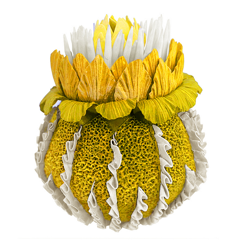 Желтый Экзотический фрукт Yellow Pandora Exotic Fruit 44 Желтый Желтый Экзотический фрукт Yellow Pandora Exotic Fruit 44 Желтый в Костроме | Loft Concept