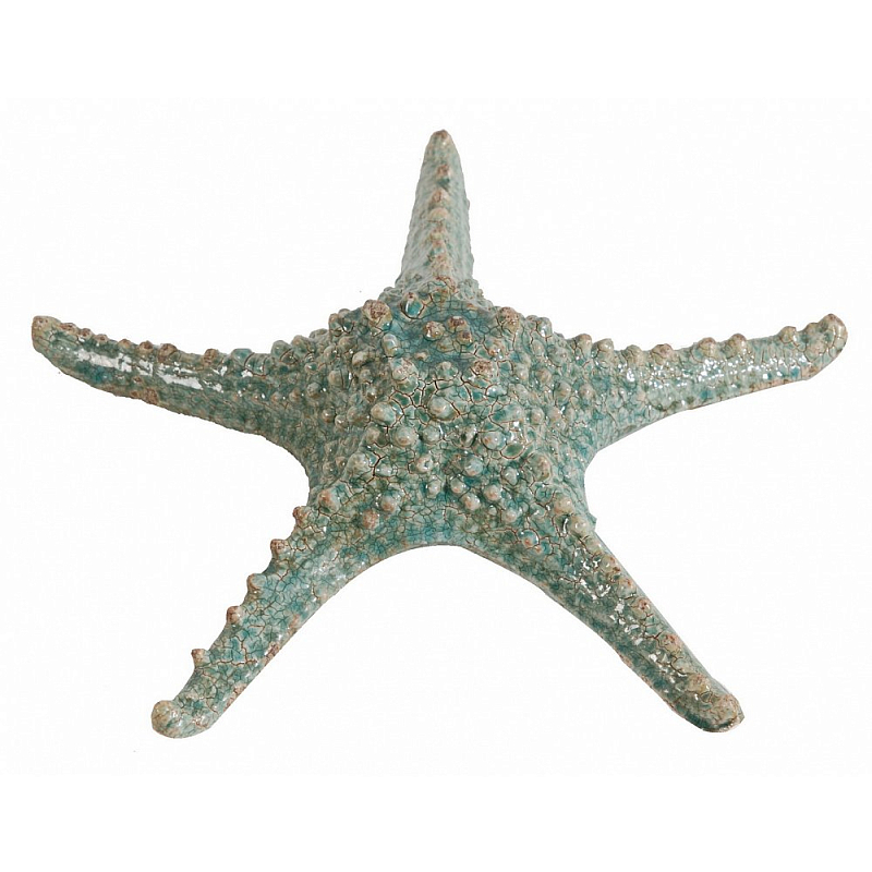 Аксессуар Starfish Бирюзовый Серый Аксессуар Starfish Бирюзовый Серый в Костроме | Loft Concept