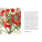 Прекрасно иллюстрированная книга более 100 ботанических произведений Plant Hunters Atlas варинант исполнения - 5 | Loft Concept в Костроме