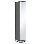 Шкаф-пенал с зеркальной дверцей и фасадом цвета графит Strict Lines варинант исполнения - 2 | Loft Concept в Костроме