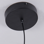 Люстра подвесная светодиодная черный металл Ring Horizontal варинант исполнения - 6 | Loft Concept в Костроме