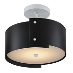 Потолочный светильник круглый светодиодный Semicircular White Panels чёрный варинант исполнения - 2 | Loft Concept в Костроме