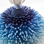 Статуэтка Синий тропический фрукт Tropical Fruit Pandora 4 варинант исполнения - 1 | Loft Concept в Костроме