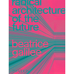 Radical Architecture of the Future варинант исполнения - 1 | Loft Concept в Костроме