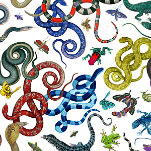 Мебельная ткань Велюр 145 см Т4-87