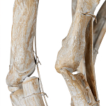 Люстра круглая в виде веток деревьев Natural Driftwood варинант исполнения - 3 | Loft Concept в Костроме