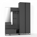 Двухдверный шкаф цвета графит Strict Lines варинант исполнения - 4 | Loft Concept в Костроме