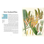 Прекрасно иллюстрированная книга более 100 ботанических произведений Plant Hunters Atlas варинант исполнения - 3 | Loft Concept в Костроме