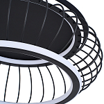 Потолочный светильник LOFT SHANDING  варинант исполнения - 2 | Loft Concept в Костроме