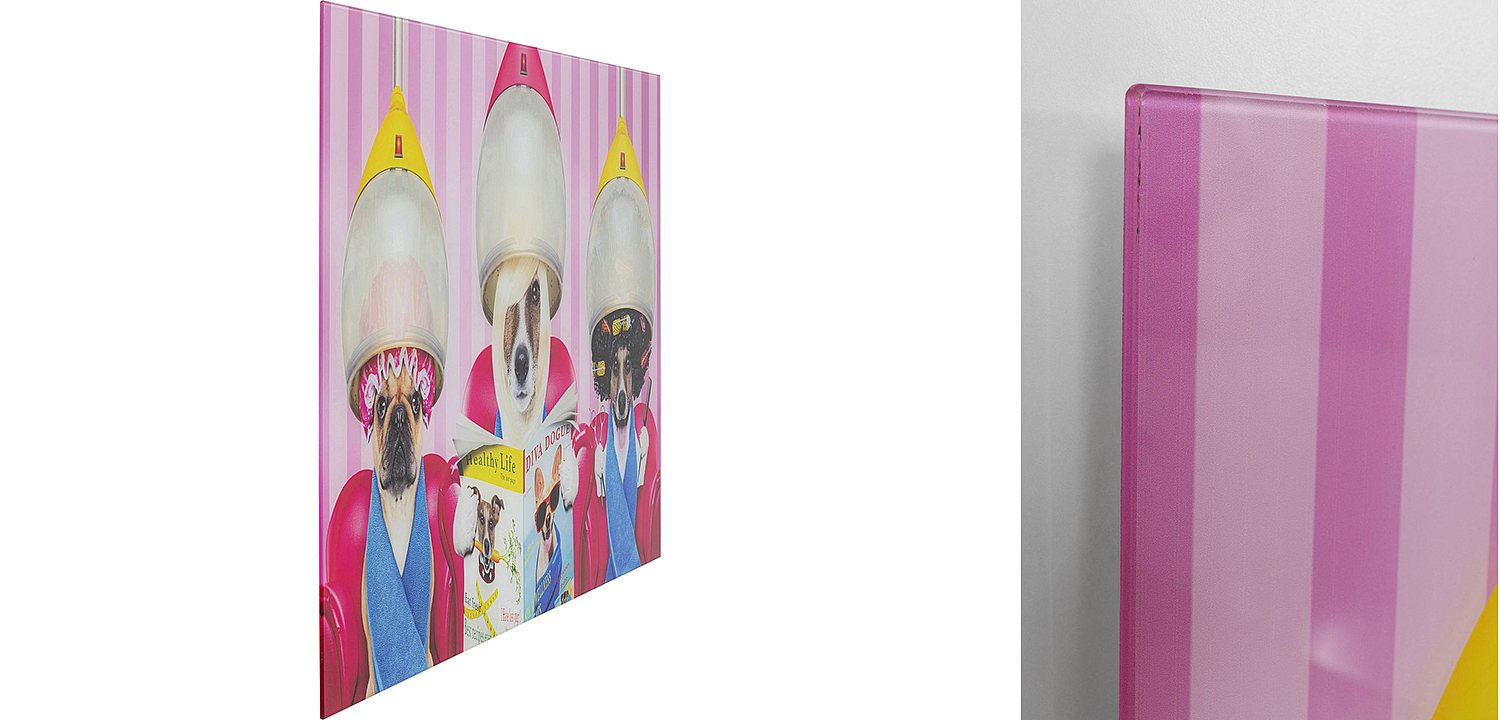 Картина Dogs in a beauty salon  - Loft-Concept в Костроме