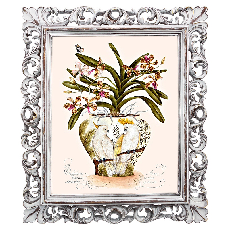 Постер White Parrots and Orchid Poster Мульти Белый винтажная патина Постер White Parrots and Orchid Poster Мульти Белый винтажная патина в Костроме | Loft Concept