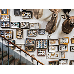 Книга Extraordinary Collections: French Interiors варинант исполнения - 11 | Loft Concept в Костроме