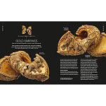 Книга Treasures of India From Antiquity to Modernity варинант исполнения - 3 | Loft Concept в Костроме