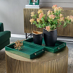 Комплект из двух прямоугольных подносов зеленого цвета Serpent варинант исполнения - 4 | Loft Concept в Костроме