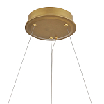 Люстра круглая с декоративными элементами в виде лепестков Round Light Flashing варинант исполнения - 5 | Loft Concept в Костроме