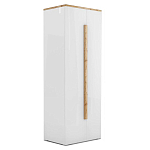 Шкаф платяной с белым глянцевым фасадом Grace of Furniture варинант исполнения - 1 | Loft Concept в Костроме