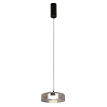 Подвесной светильник Blanton smoky 23 варинант исполнения - 2 | Loft Concept в Костроме