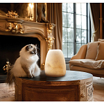 Настольная лампа в форме трапеции из натурального камня Soft Glow of Stone варинант исполнения - 5 | Loft Concept в Костроме