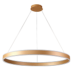 Люстра подвесная светодионая кольцевая золотого цвета Ring Horizontal варинант исполнения - 1 | Loft Concept в Костроме