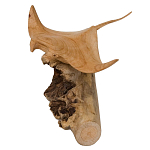 Статуэтка из дерева скат Animals of the World варинант исполнения - 2 | Loft Concept в Костроме