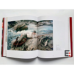 Книга Коллекция картин Сарджента Sargent: The Masterworks варинант исполнения - 6 | Loft Concept в Костроме