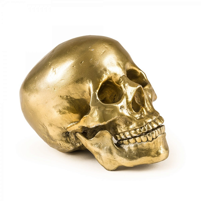 Статуэтка Seletti Wunderkrammer Human Skull Золотой Статуэтка Seletti Wunderkrammer Human Skull Золотой в Костроме | Loft Concept