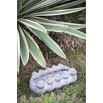 Кашпо Canaries варинант исполнения - 3 | Loft Concept в Костроме