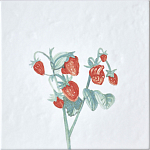 Плитка с узором Земляника варинант исполнения - 2 | Loft Concept в Костроме