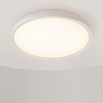 Потолочный светильник Incognito 2700-4000К 46Вт варинант исполнения - 4 | Loft Concept в Костроме