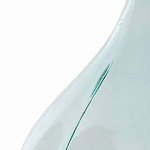 Ваза-бутыль из стекла TRANSPARENT FORMS 56 варинант исполнения - 4 | Loft Concept в Костроме