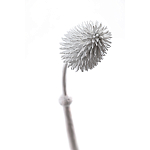 Статуэтка тропический фрукт Pandora Tropical Fruit Tall White варинант исполнения - 1 | Loft Concept в Костроме